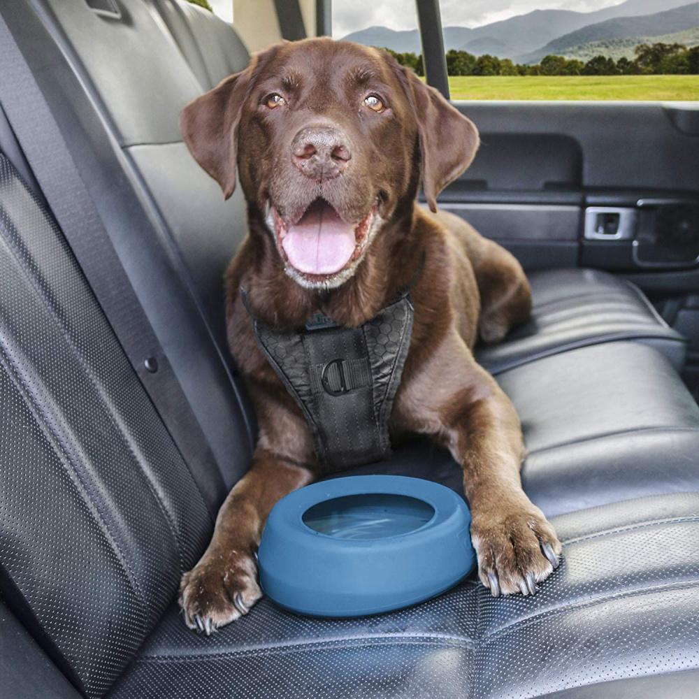 Kurgo Splash Free Wander Dog Water Bowl - Image 5