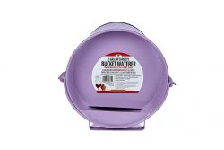 Little Giant Painted Galvanized Bucket Waterer for Poultry - Image 2