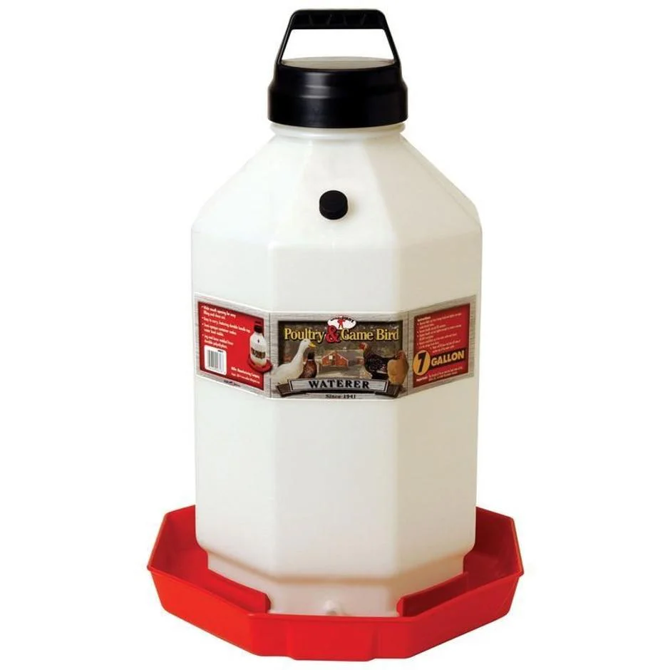 Little Giant Plastic Poultry Waterer - Image 3