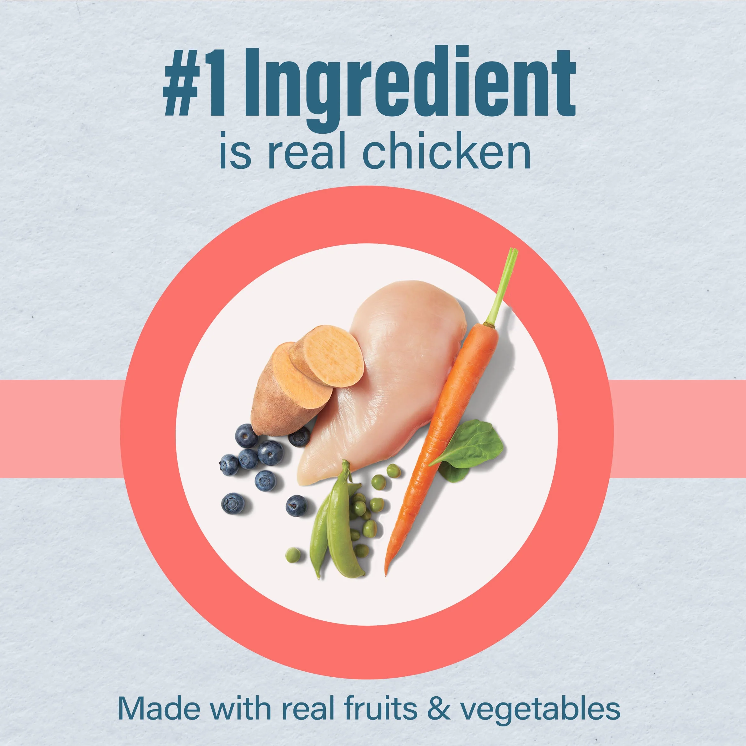 Nutrena® Loyall Life® Chicken & Brown Rice Recipe All Life Stages Dog Food - Image 7