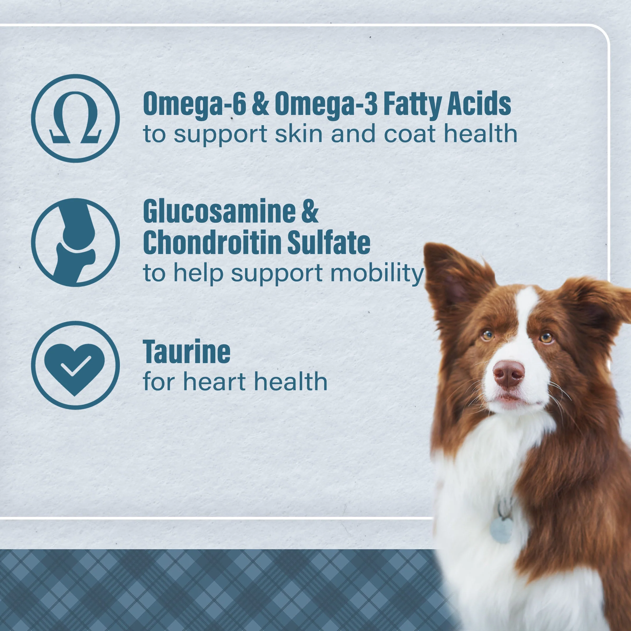 Nutrena® Loyall Life® Chicken & Brown Rice Recipe All Life Stages Dog Food - Image 9