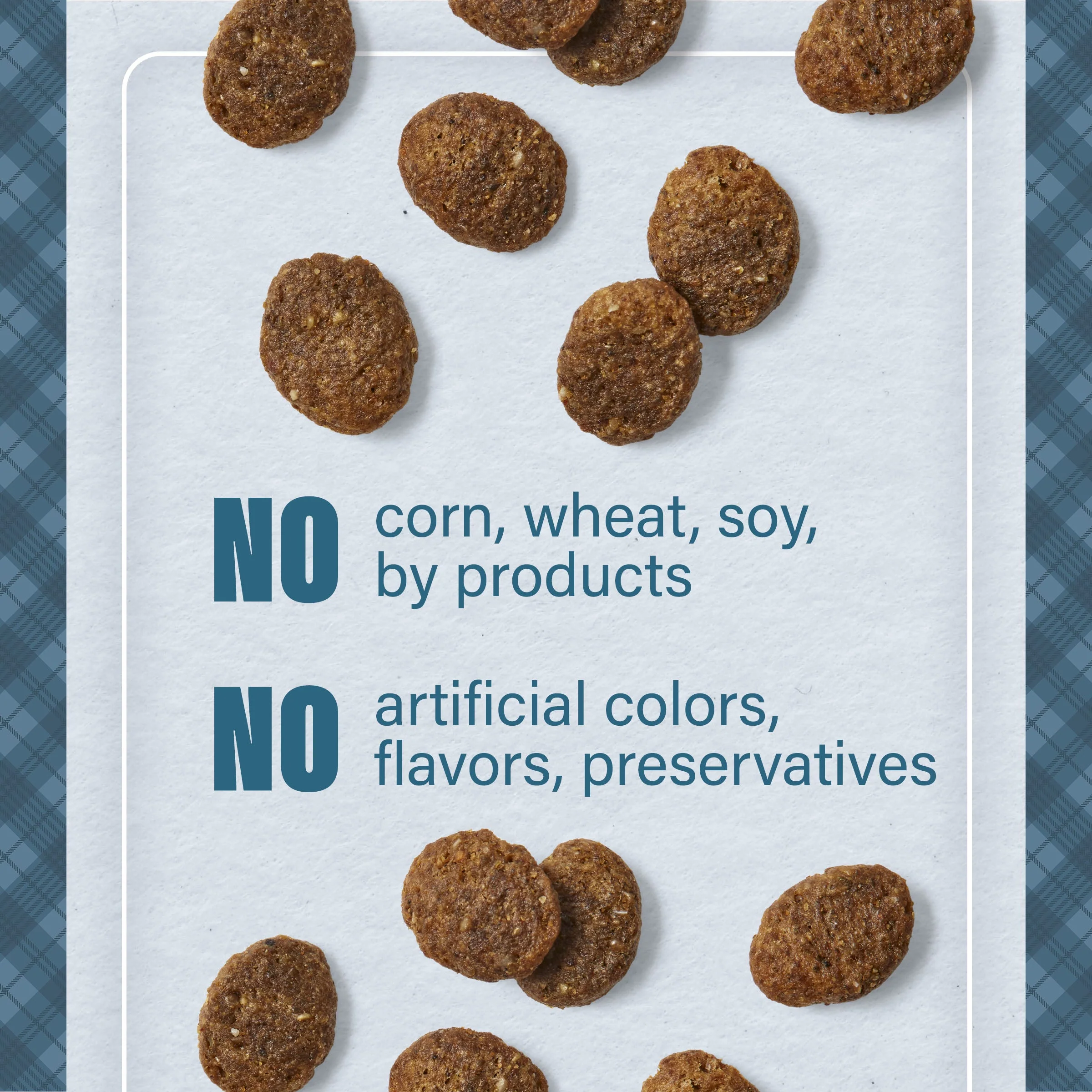 Nutrena® Loyall Life® Grain Free Salmon with Sweet Potato Recipe All Life Stages Dog Food - Image 6