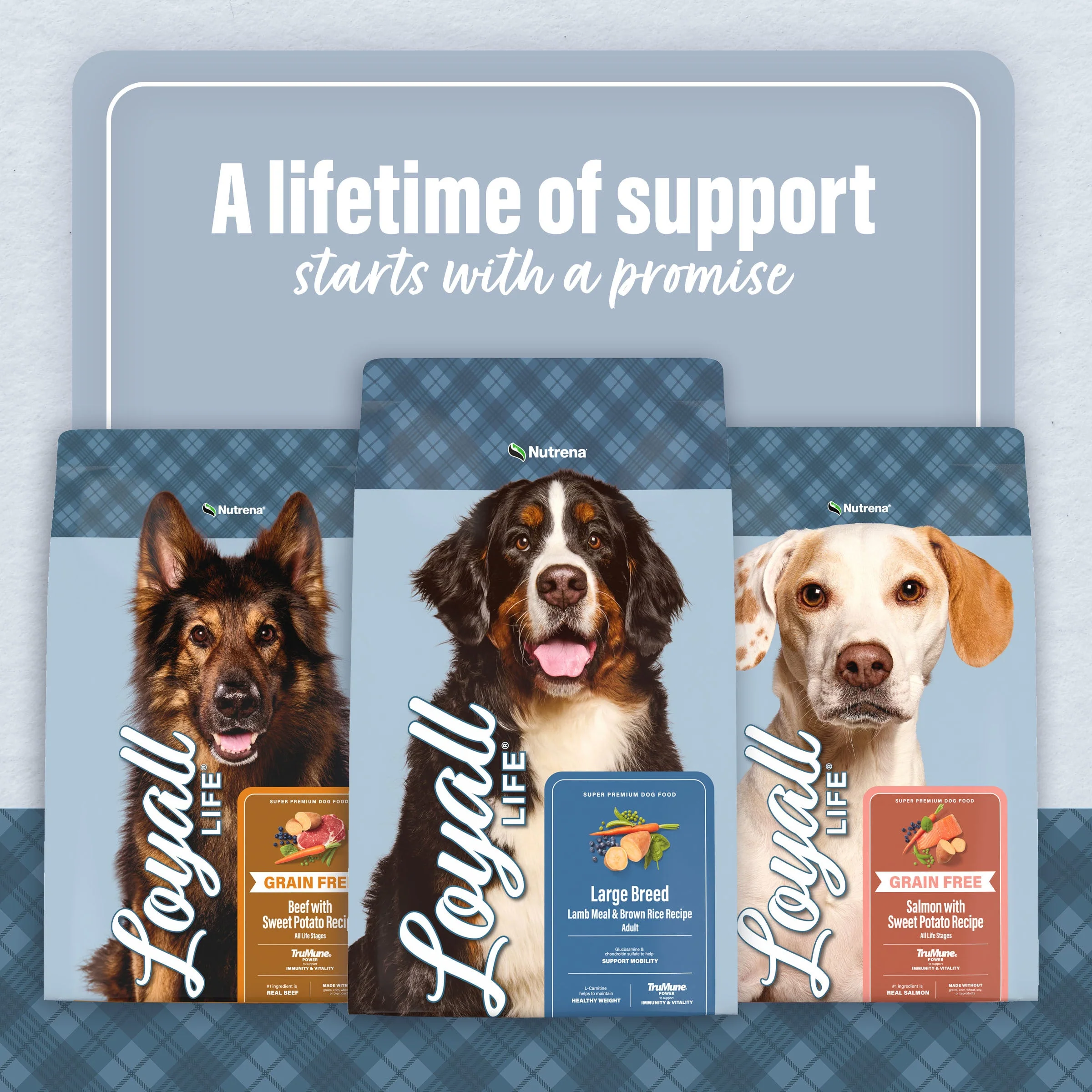 Nutrena® Loyall Life® Lamb Meal & Brown Rice Recipe Adult Dog Food - Image 10