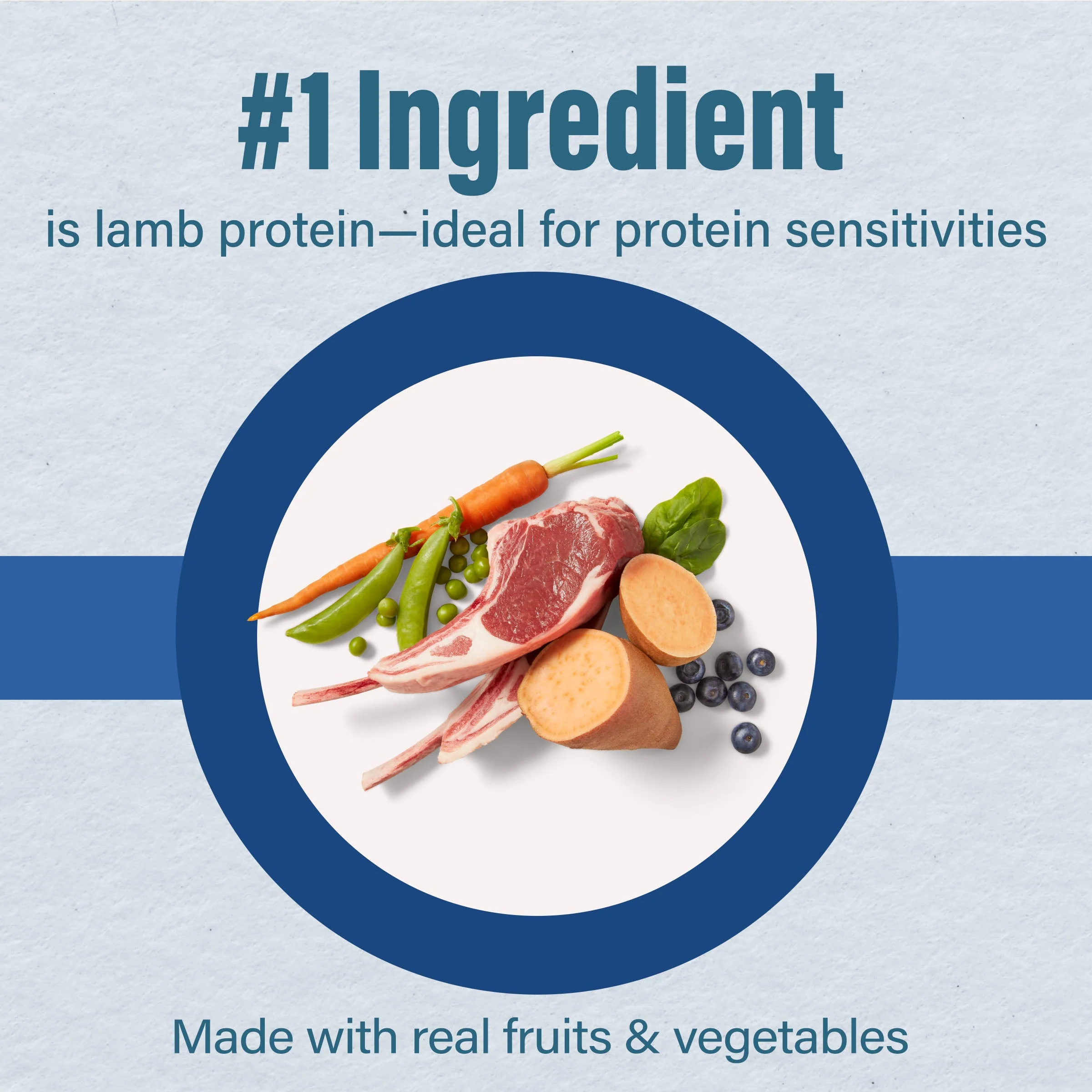 Nutrena® Loyall Life® Lamb Meal & Brown Rice Recipe Adult Dog Food - Image 3