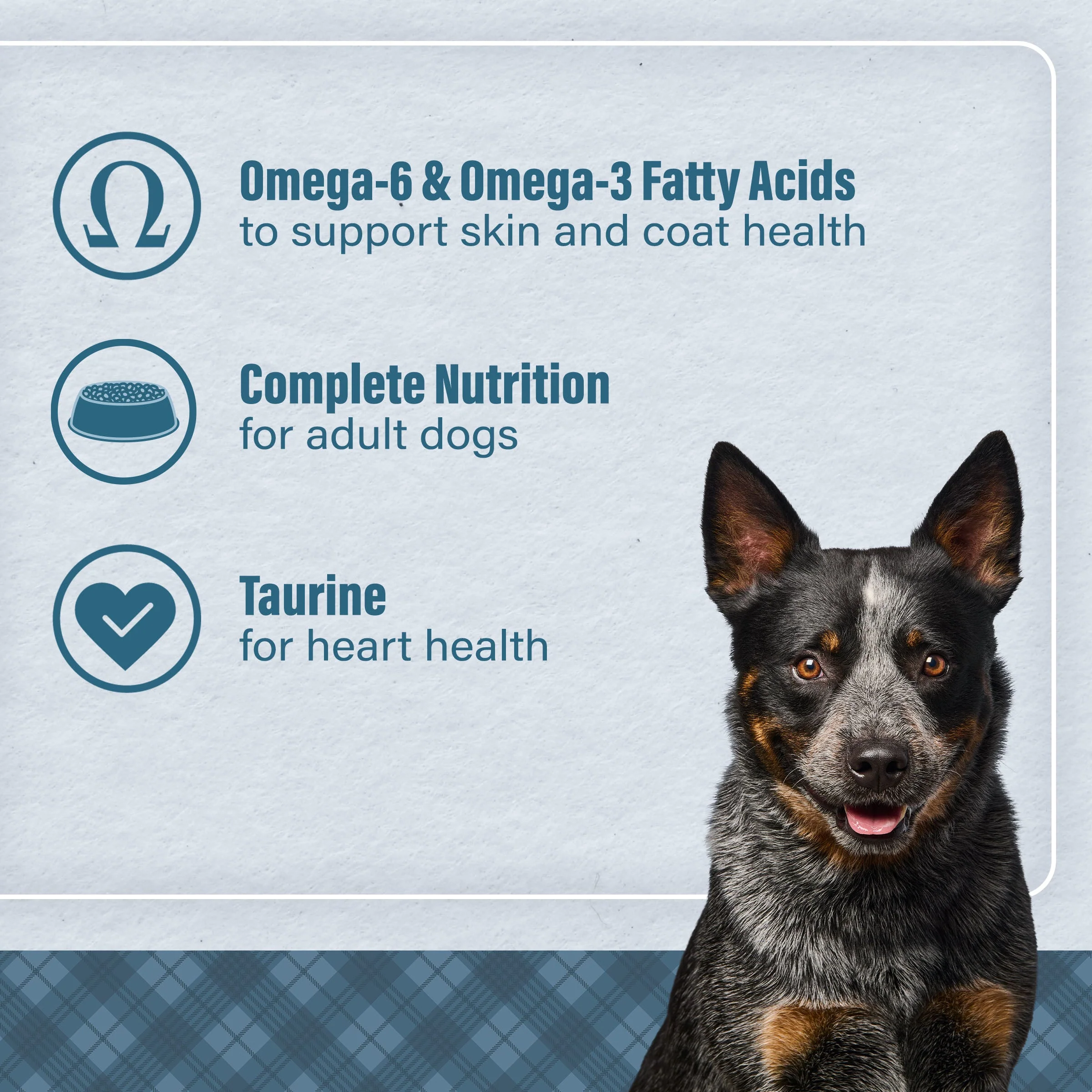 Nutrena® Loyall Life® Lamb Meal & Brown Rice Recipe Adult Dog Food - Image 6