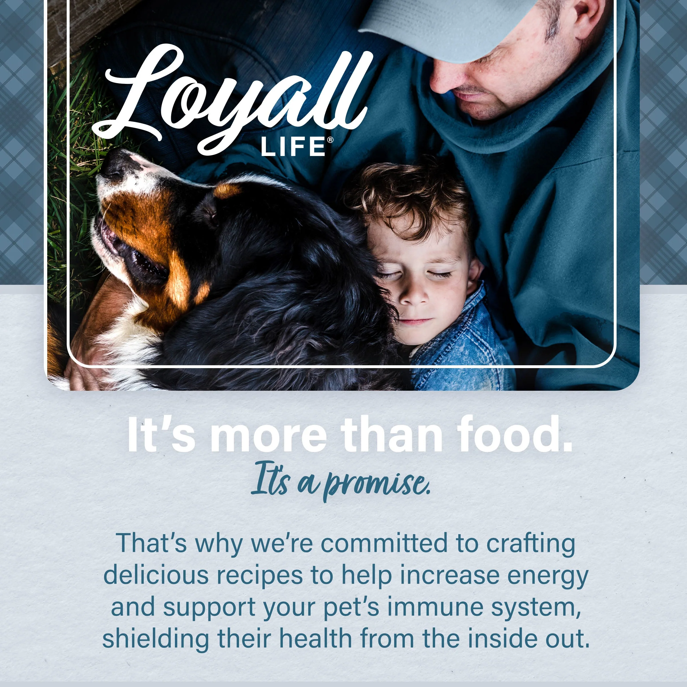 Nutrena® Loyall Life® Large Breed Lamb Meal & Brown Rice Recipe Adult Dog Food - Image 10