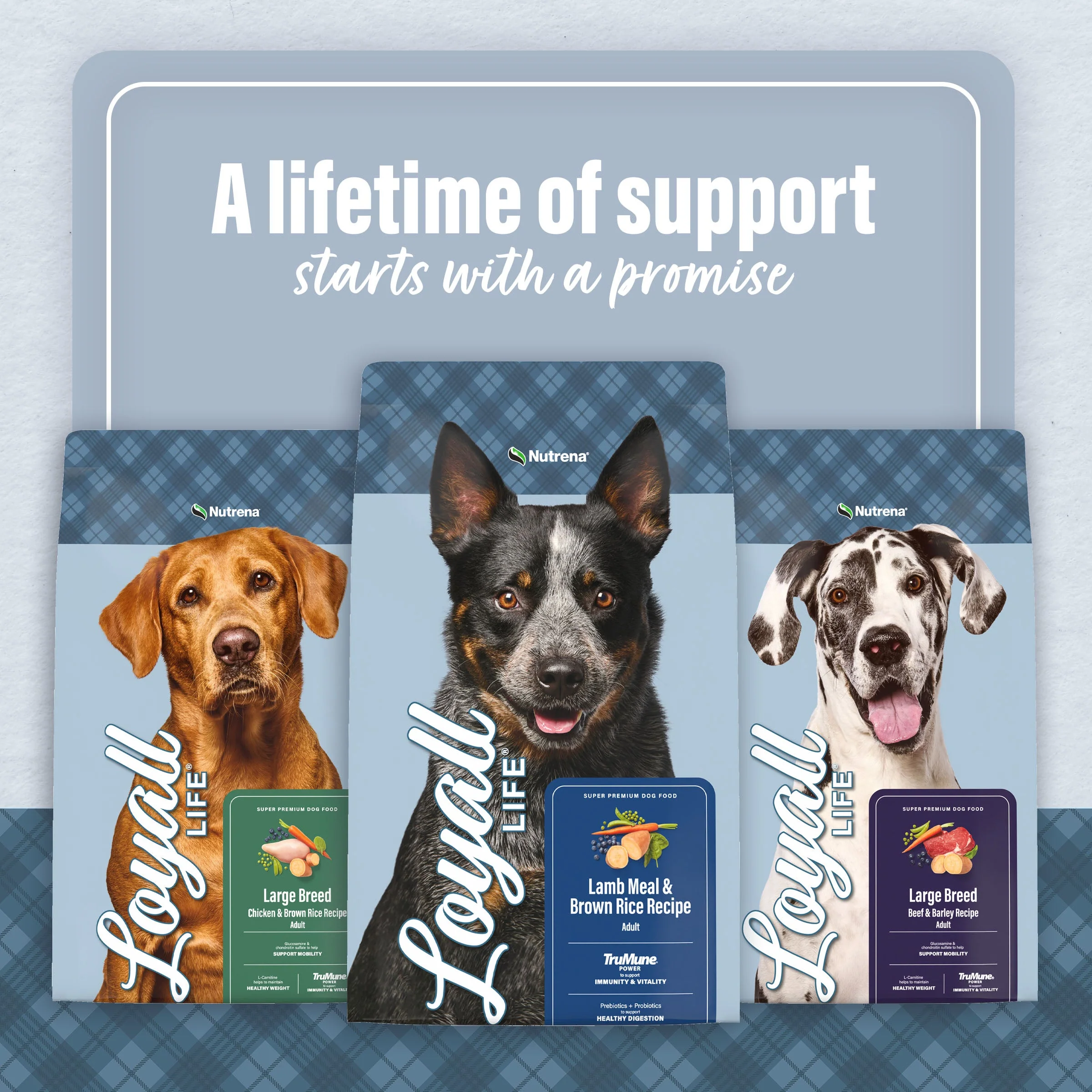 Nutrena® Loyall Life® Large Breed Lamb Meal & Brown Rice Recipe Adult Dog Food - Image 11