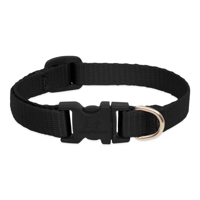 Lupine Pet Basic Solids Dog Collar - Image 6