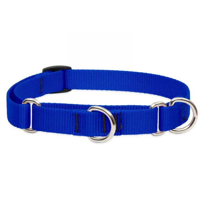 Lupine Pet Basic Solids Martingale Collars for Training - Image 2