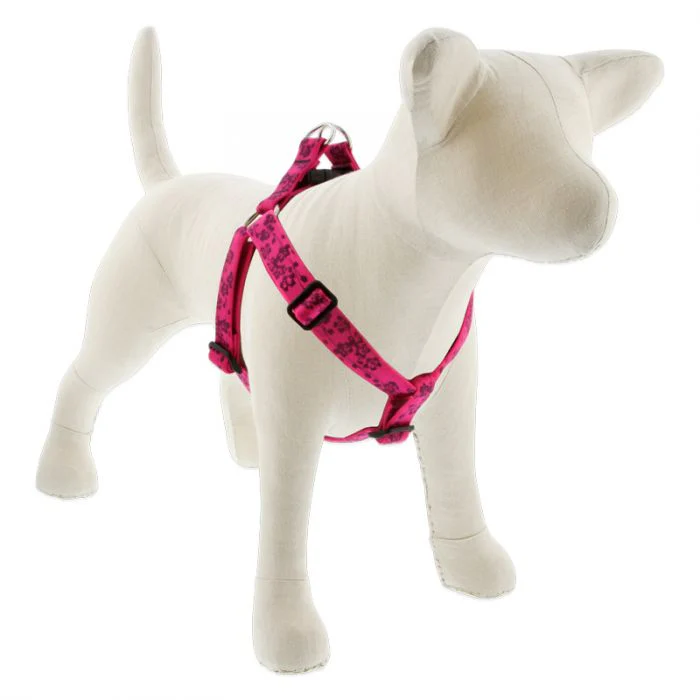 Lupine Pet Original Designs Dog Collar - Image 10
