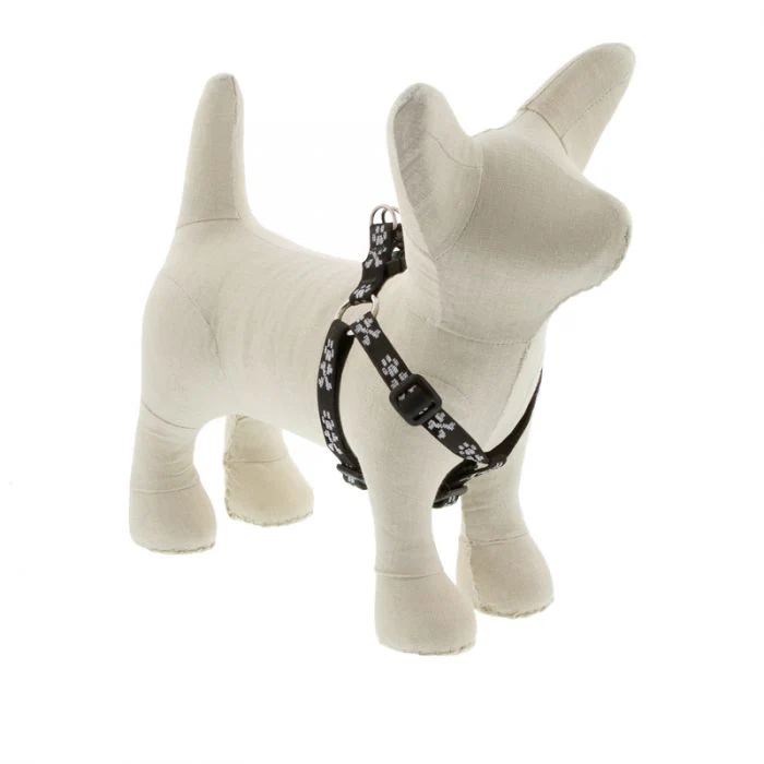 Lupine Pet Original Designs Dog Collar - Image 11