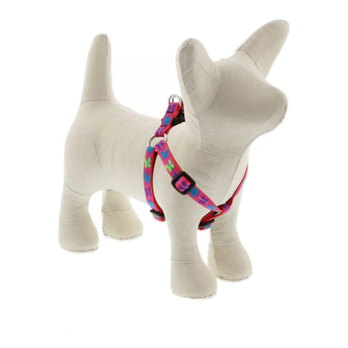 Lupine Pet Original Designs Dog Collar - Image 12