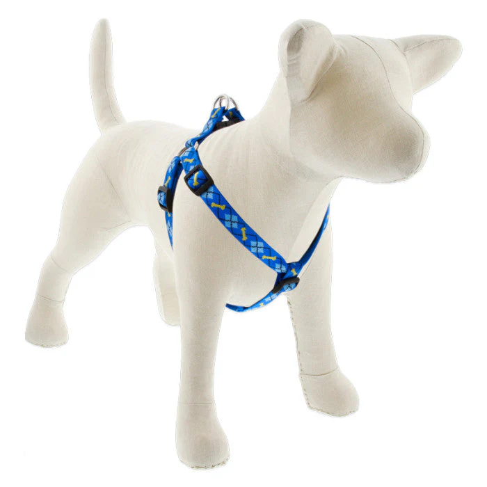 Lupine Pet Original Designs Dog Collar - Image 14
