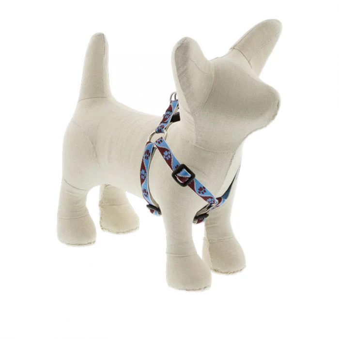 Lupine Pet Original Designs Dog Collar - Image 3