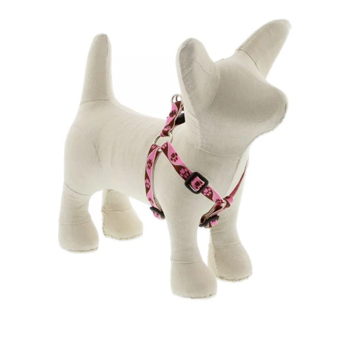 Lupine Pet Original Designs Dog Collar - Image 5