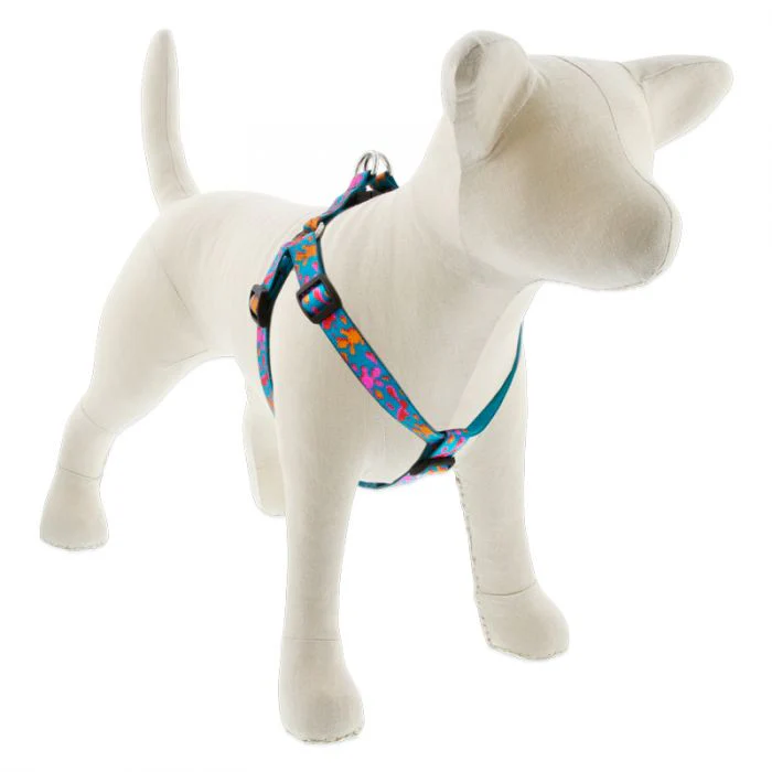 Lupine Pet Original Designs Dog Collar - Image 8