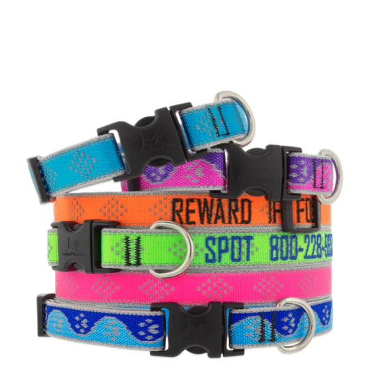 Lupine Pet Reflective Dog Collar - Image 2