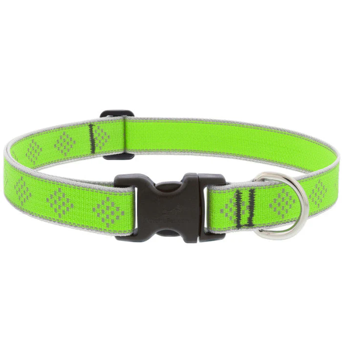 Lupine Pet Reflective Dog Collar - Image 3
