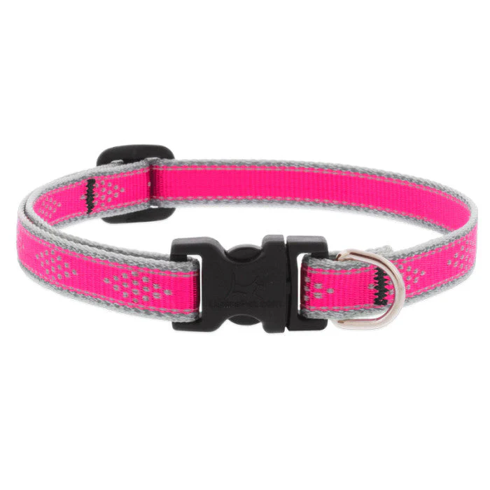 Lupine Pet Reflective Dog Collar - Image 4