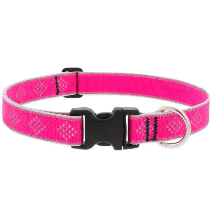 Lupine Pet Reflective Dog Collar - Image 5