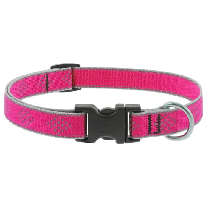 Lupine Pet Reflective Dog Collar - Image 7