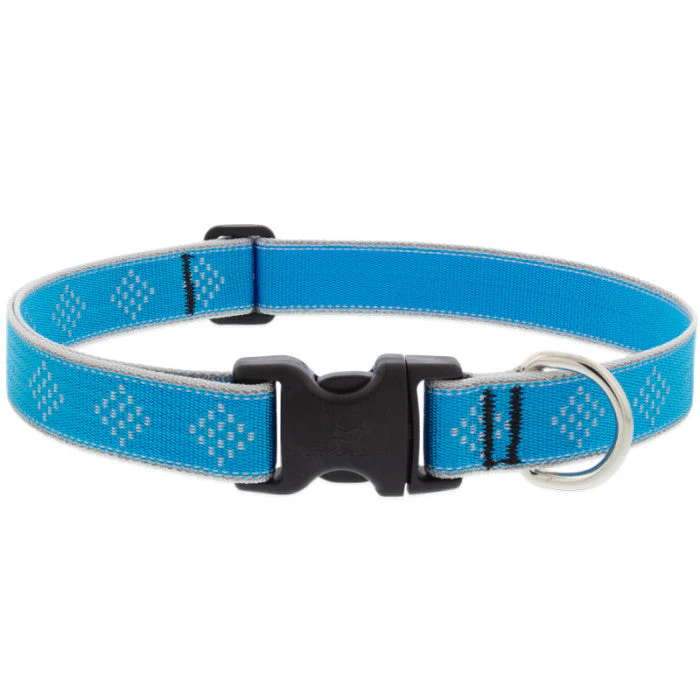 Lupine Pet Reflective Dog Collar - Image 8