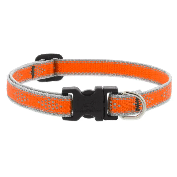 Lupine Pet Reflective Dog Collar - Image 9
