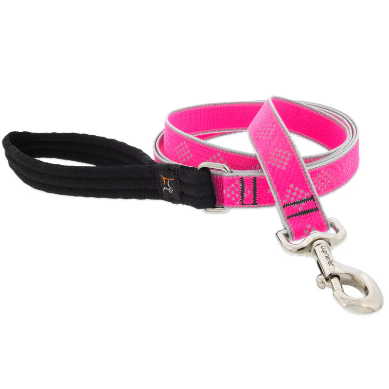 Lupine Pet Reflective Dog Leash - Image 6