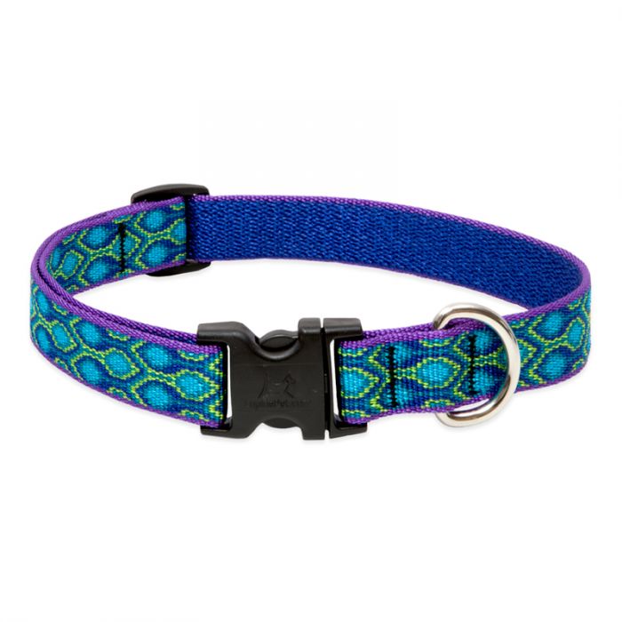Lupine Pet Original Designs Dog Collar - Image 10