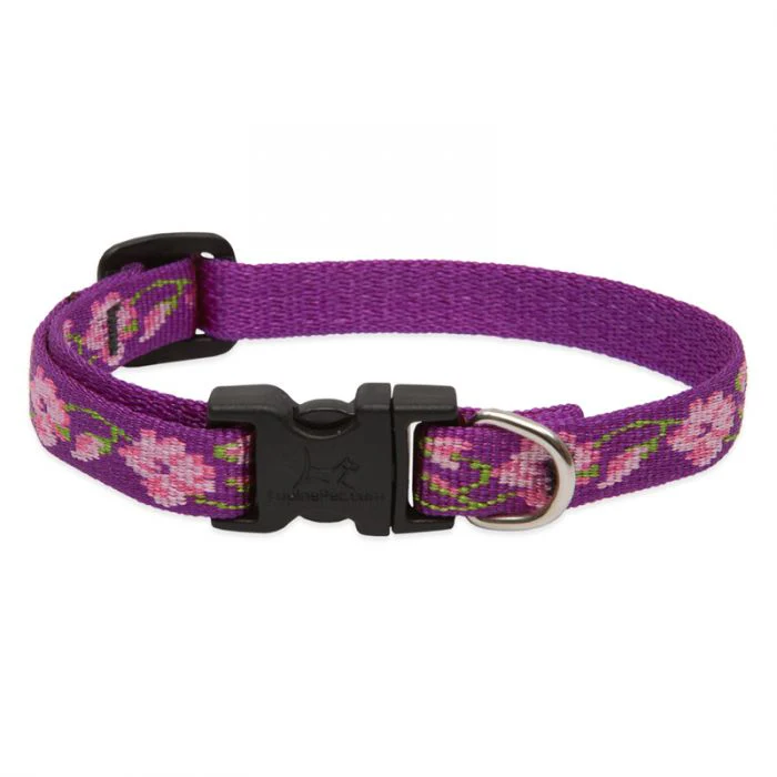 Lupine Pet Original Designs Dog Collar - Image 13