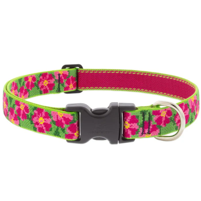 Lupine Pet Original Designs Dog Collar - Image 14
