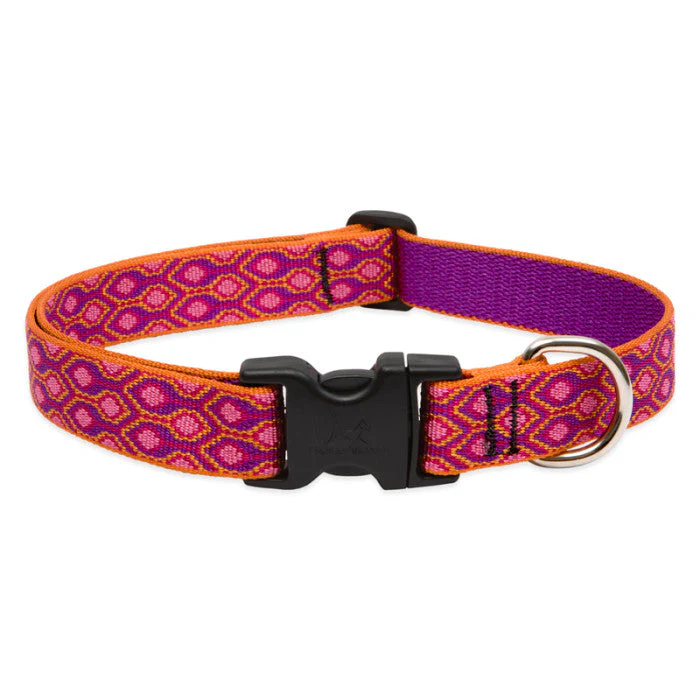 Lupine Pet Original Designs Dog Collar - Image 5