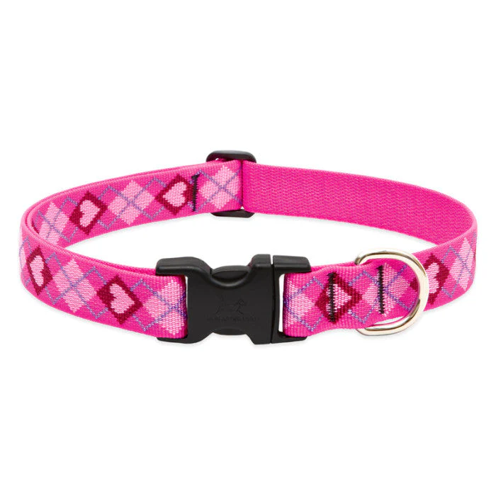 Lupine Pet Original Designs Dog Collar - Image 8
