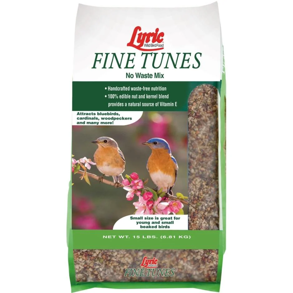 LYRIC FINE TUNES NO WASTE WILD BIRD MIX