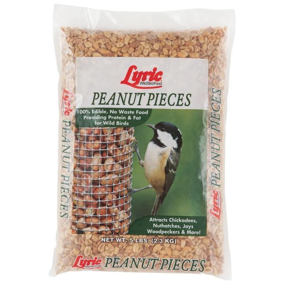 Lyric Peanut Pieces - Image 2