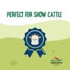 Manna Pro Farmhouse Favorites™ Cattle Treats - Image 4