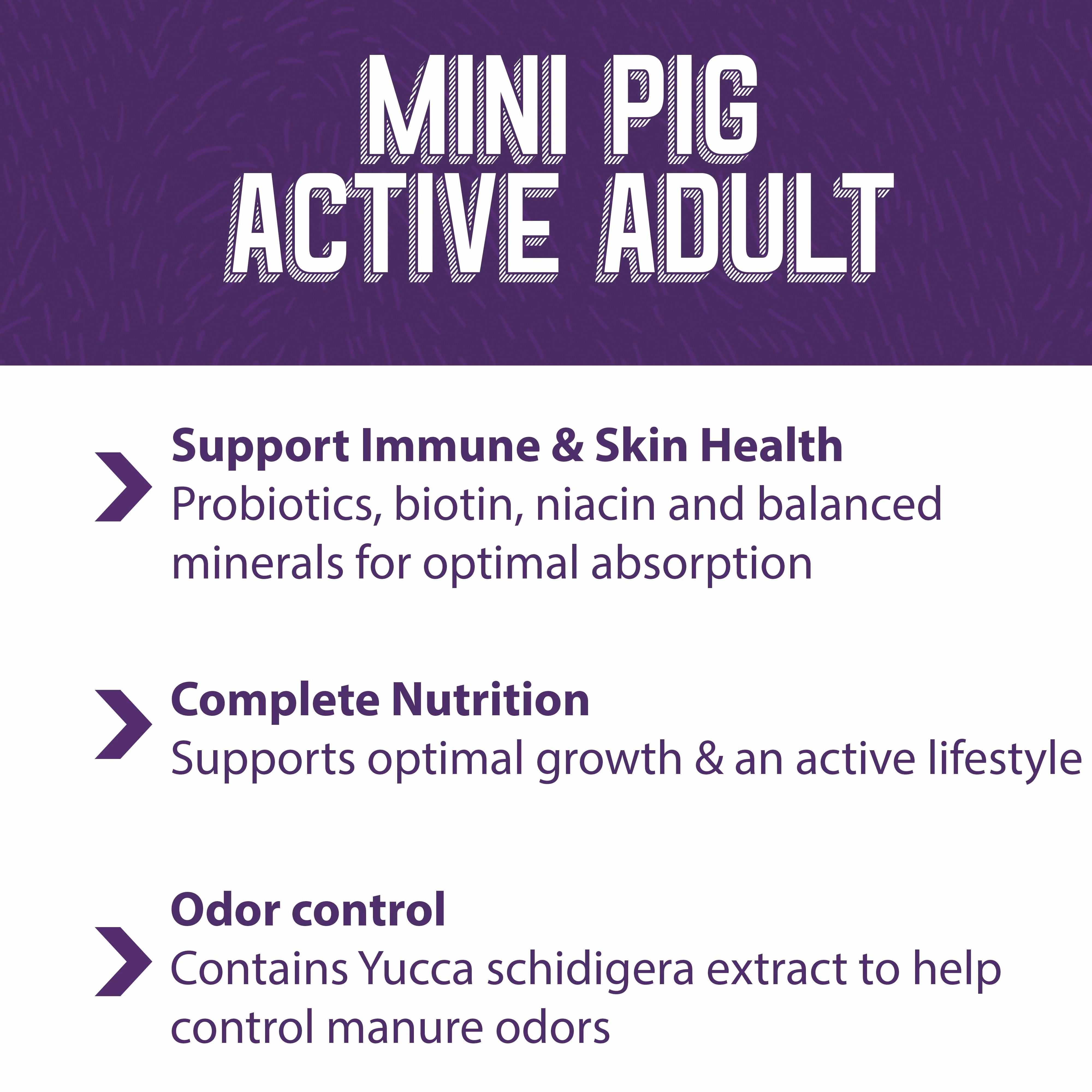 Mazuri® Mini Pig Active Adult - Image 5