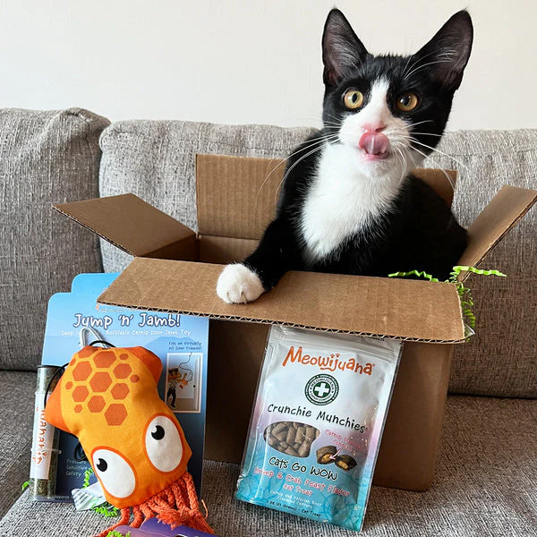 Meowijuana Crunchie Munchie Shrimp & Crab Feast Cat Treats - Image 4