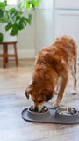 Messy Mutts Double Silicone Dog Feeder with Stainless Bowls - Image 4
