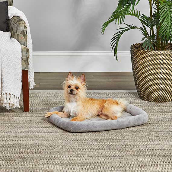 Midwest QuietTime® Deluxe Diamond Stitch Beds Bolstered Pet Beds - Image 3