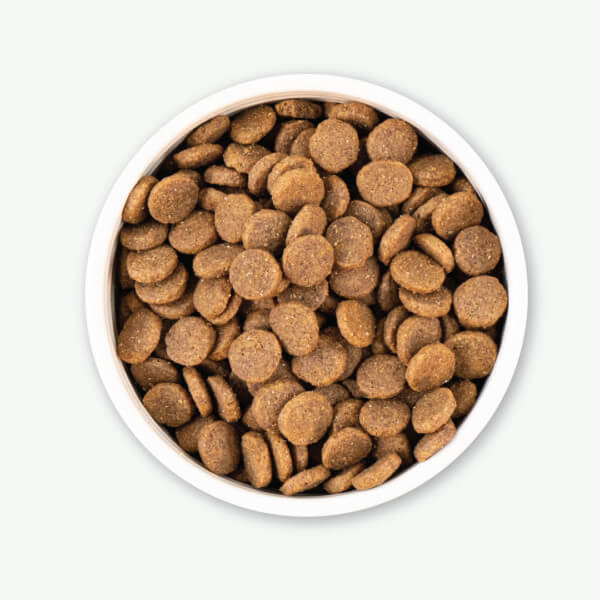Earthborn Holistic Great Plains Feast™ Dog Food - Image 5