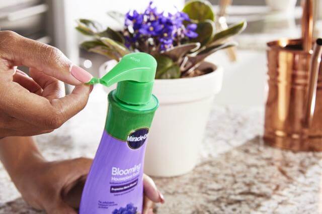 Miracle-Gro® Blooming Houseplant Food - Image 3