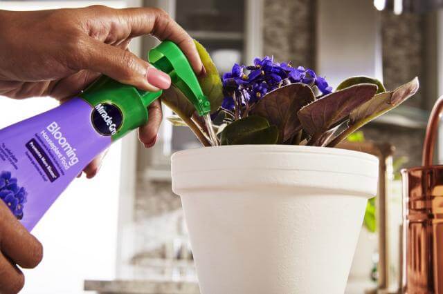 Miracle-Gro® Blooming Houseplant Food - Image 4