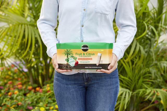 Miracle-Gro® Fruit & Citrus Plant Food Spikes - Image 2