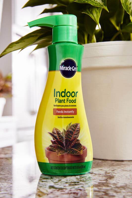 Miracle-Gro® Indoor Plant Food - Image 2