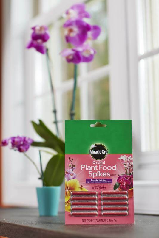 Miracle-Gro® Orchid Plant Food Spikes - Image 2