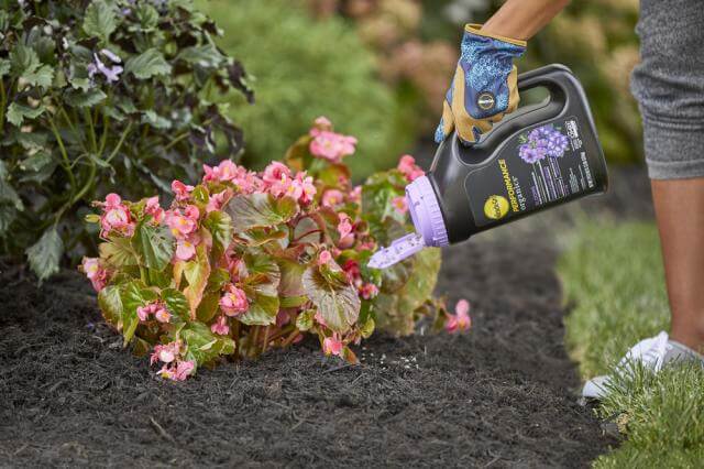 Miracle-Gro® Performance Organic® Blooms Plant Nutrition Granules - Image 4