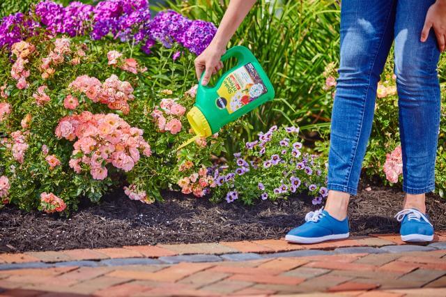 Miracle-Gro® Shake 'n Feed® All Purpose Plant Food - Image 4