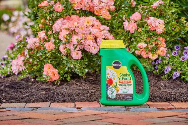 Miracle-Gro® Shake 'n Feed® All Purpose Plant Food - Image 5