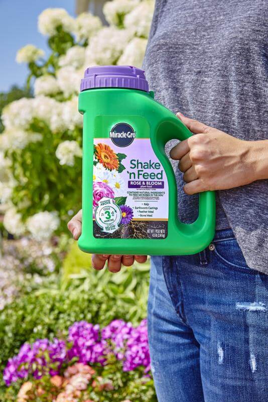 Miracle-Gro® Shake 'n Feed® Rose & Bloom Plant Food - Image 3